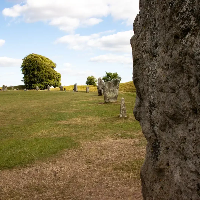 June to October 2025 - Work and Family Life - MG 2755 - Dominic Osborne - Entrepreneur